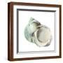 Brown Frame