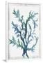 Gramercy White