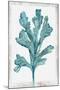 Wood Mount