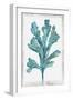 White Frame