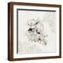 Brown Frame