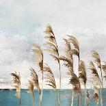 Summer Wind I-Aimee Wilson-Art Print