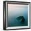 Aimia-David Baker-Framed Photographic Print