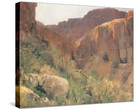 Ain Djiddy Gorge near the Dead Sea-Eugen Bracht-Stretched Canvas