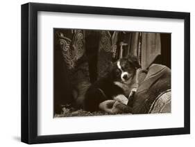 Ain’t I Cute-Barry Hart-Framed Art Print