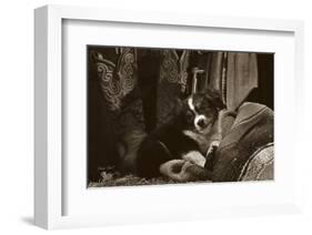 Ain’t I Cute-Barry Hart-Framed Art Print