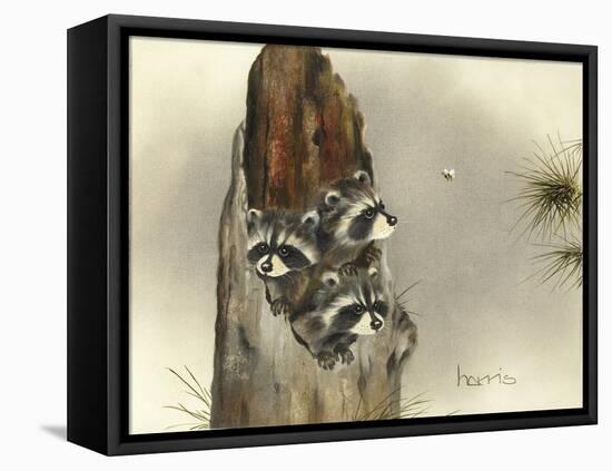 Ain't Misbehavin'...Yet-Peggy Harris-Framed Stretched Canvas