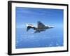 Air and Space: McDonnell Douglas F-4 Phantom II-null-Framed Photographic Print