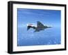 Air and Space: McDonnell Douglas F-4 Phantom II-null-Framed Photographic Print