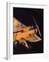 Air and Space: Piper J-3 Cub-null-Framed Photographic Print