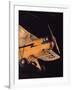 Air and Space: Piper J-3 Cub-null-Framed Photographic Print