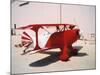 Air and Space: Pitts Special S-1C Little Stinker-null-Mounted Photographic Print