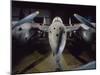 Air and Speed: Lockheed P-38-null-Mounted Photographic Print