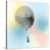 Air Balloon I-Danielle Hession-Stretched Canvas