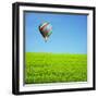 Air Balloon-Andrushko Galyna-Framed Photographic Print