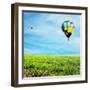 Air Balloon-Andrushko Galyna-Framed Photographic Print