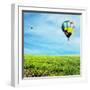 Air Balloon-Andrushko Galyna-Framed Photographic Print