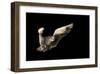 Air Breaking-null-Framed Art Print