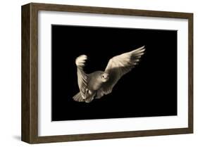 Air Breaking-null-Framed Art Print