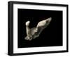 Air Breaking-Anthonyroberts-Framed Photographic Print