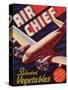 Air Chief Vegetable Label - Salinas, CA-Lantern Press-Stretched Canvas