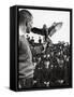 Air Force Academy Cadets Watching Handler Performing with the Air Force Mascot, a Falcon-Leonard Mccombe-Framed Stretched Canvas