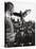 Air Force Academy Cadets Watching Handler Performing with the Air Force Mascot, a Falcon-Leonard Mccombe-Stretched Canvas