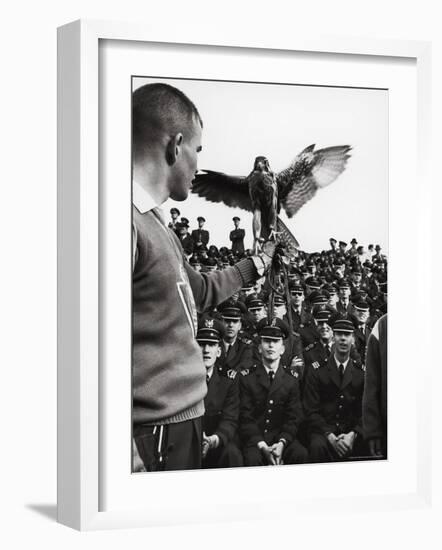 Air Force Academy Cadets Watching Handler Performing with the Air Force Mascot, a Falcon-Leonard Mccombe-Framed Photographic Print