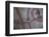 Air Hose in Land Rover Garage, Zambia-Paul Souders-Framed Photographic Print