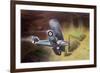 Air Marshal Sir Victor Goddard's Vision of Drem Airfield Four Years in the Future-null-Framed Giclee Print