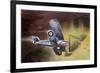 Air Marshal Sir Victor Goddard's Vision of Drem Airfield Four Years in the Future-null-Framed Giclee Print