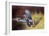 Air Marshal Sir Victor Goddard's Vision of Drem Airfield Four Years in the Future-null-Framed Giclee Print