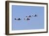 Air Show I-Lee Peterson-Framed Photographic Print