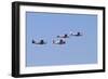 Air Show I-Lee Peterson-Framed Photographic Print