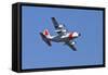 Air Show V-Lee Peterson-Framed Stretched Canvas