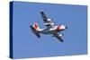 Air Show V-Lee Peterson-Stretched Canvas