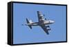 Air Show VI-Lee Peterson-Framed Stretched Canvas