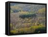 Air View of Parco Delle Foreste Casentinesi-Guido Cozzi-Framed Stretched Canvas