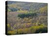 Air View of Parco Delle Foreste Casentinesi-Guido Cozzi-Stretched Canvas