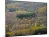 Air View of Parco Delle Foreste Casentinesi-Guido Cozzi-Mounted Photographic Print