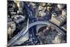 Air View of the Calatrava Bridge.-Stefano Amantini-Mounted Photographic Print