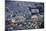 Air View of the Old City.-Stefano Amantini-Mounted Photographic Print