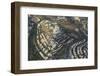 Air View.-Stefano Amantini-Framed Photographic Print