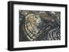 Air View.-Stefano Amantini-Framed Photographic Print