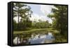 Airboat Swamp Tour, Lafitte, Louisiana-Jamie & Judy Wild-Framed Stretched Canvas