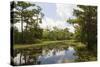 Airboat Swamp Tour, Lafitte, Louisiana-Jamie & Judy Wild-Stretched Canvas