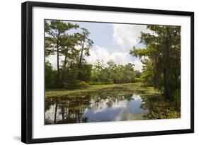 Airboat Swamp Tour, Lafitte, Louisiana-Jamie & Judy Wild-Framed Photographic Print