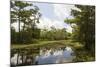 Airboat Swamp Tour, Lafitte, Louisiana-Jamie & Judy Wild-Mounted Photographic Print