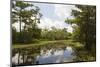 Airboat Swamp Tour, Lafitte, Louisiana-Jamie & Judy Wild-Mounted Photographic Print