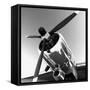 Airborne 2-Matt McCarthy-Framed Stretched Canvas